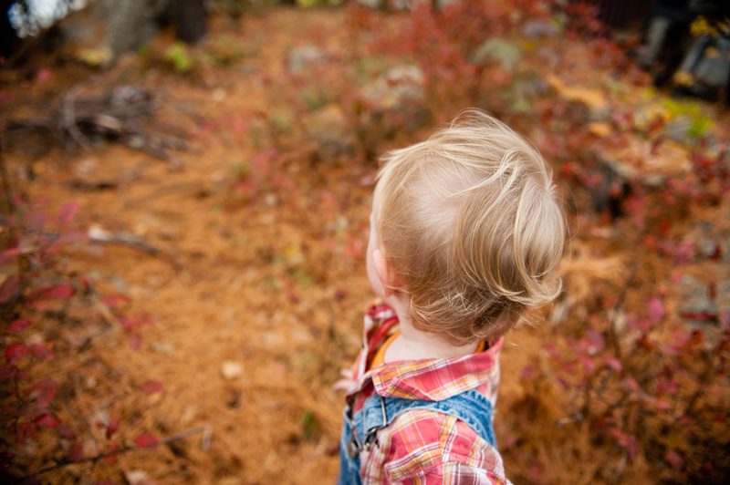 05-fall-family-portraits-maine-melissa-mullen-photography