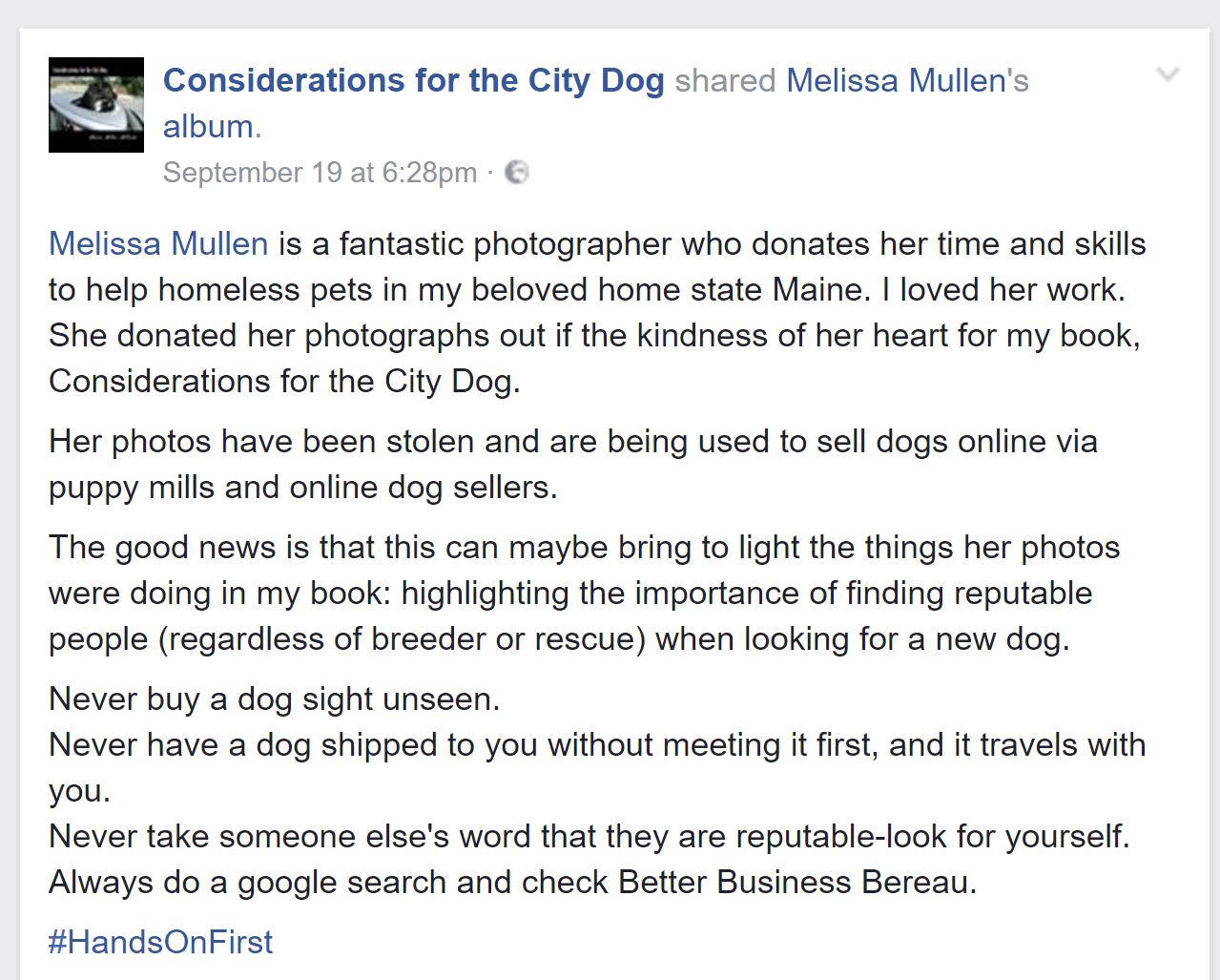 considerations-for-the-city-dog-facebook-post-share
